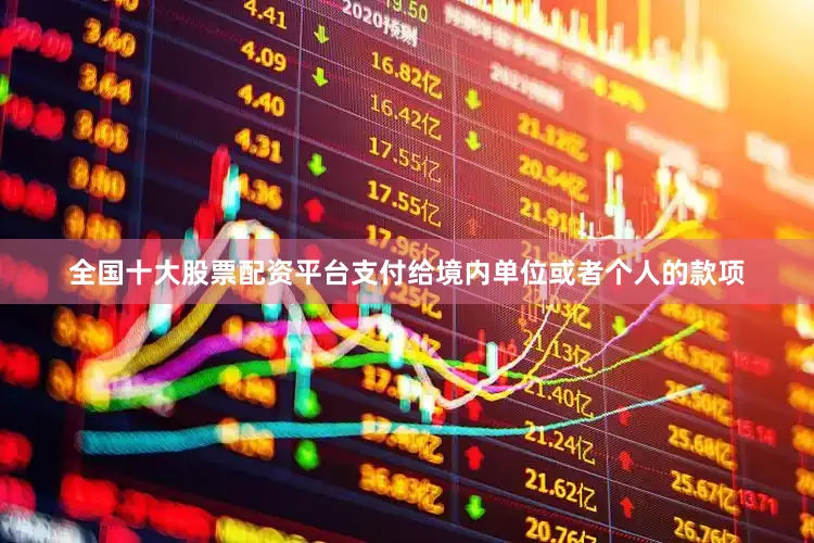 全国十大股票配资平台支付给境内单位或者个人的款项