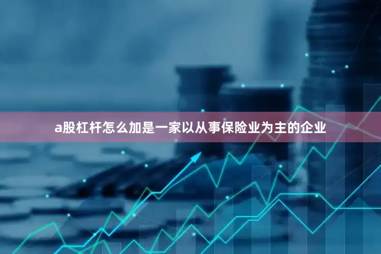 a股杠杆怎么加是一家以从事保险业为主的企业