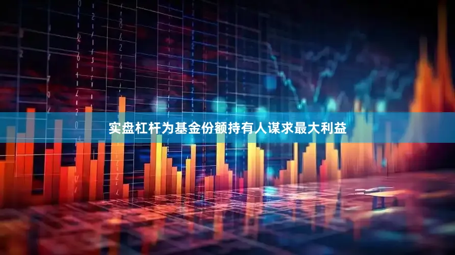 实盘杠杆为基金份额持有人谋求最大利益
