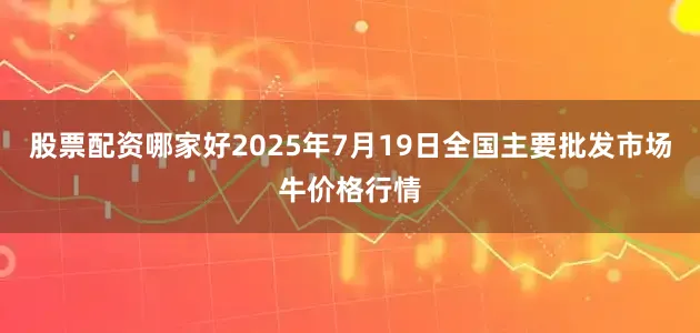 股票配资哪家好2025年7月19日全国主要批发市场牛价格行情