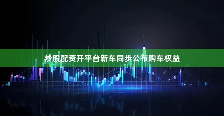 炒股配资开平台新车同步公布购车权益