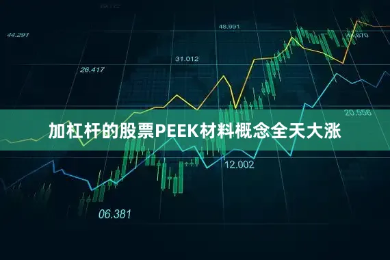 加杠杆的股票PEEK材料概念全天大涨
