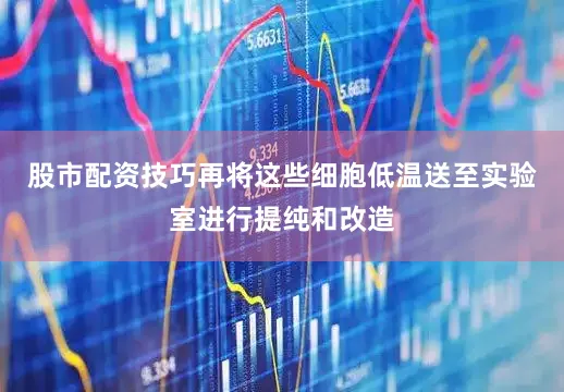 股市配资技巧再将这些细胞低温送至实验室进行提纯和改造