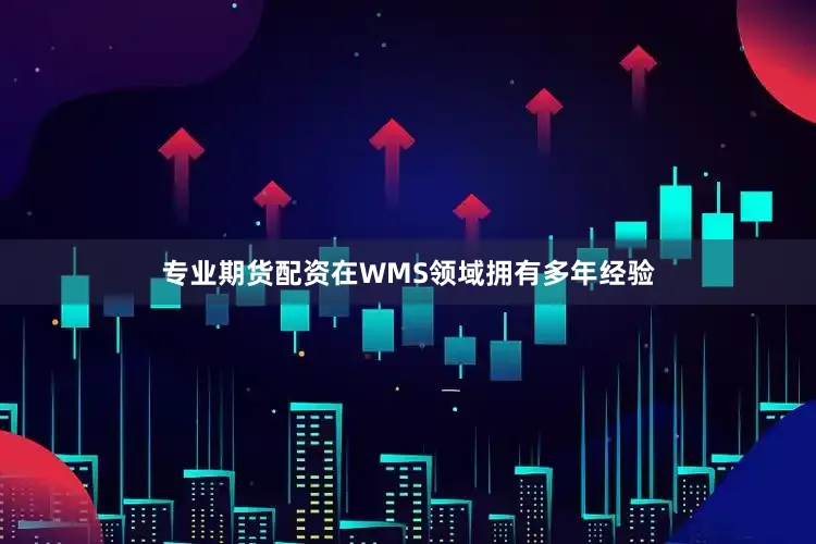 专业期货配资在WMS领域拥有多年经验